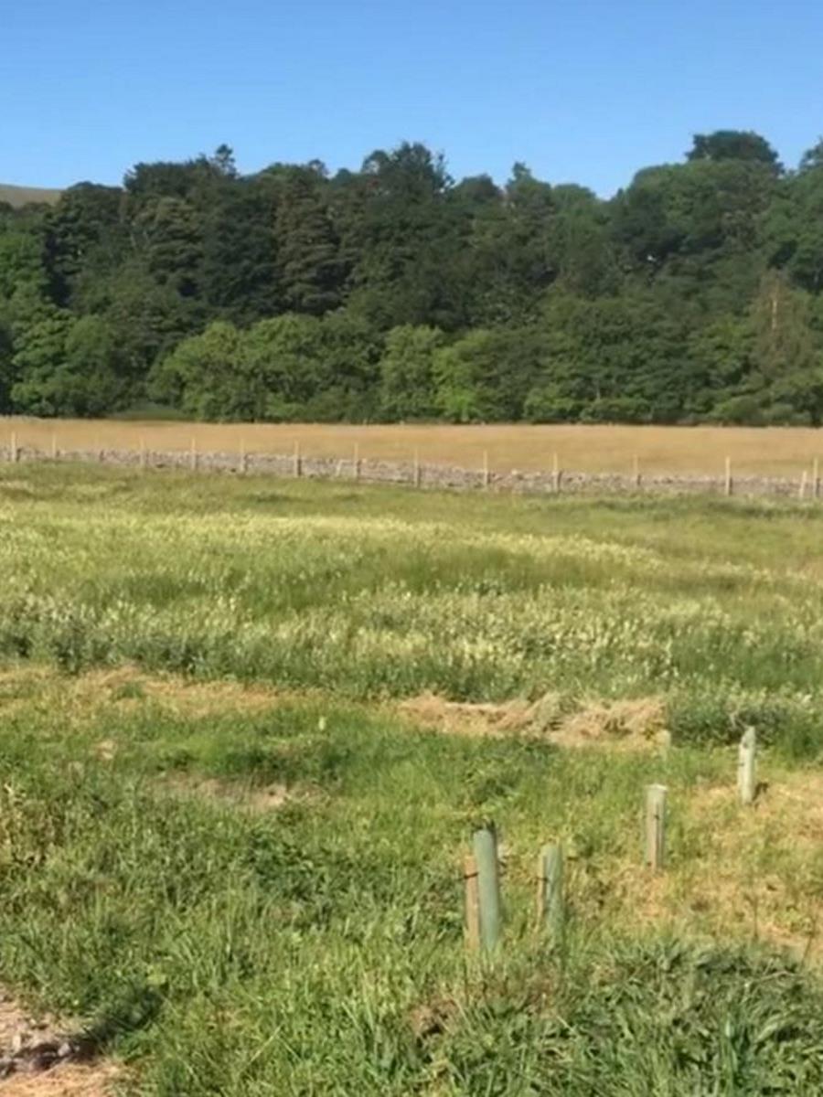 Natural Burial Plots in Cumbria and the UK from Memotrees