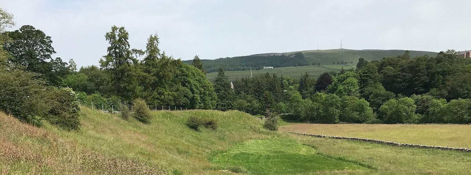 Natural Woodland Burials in Alston, Cumbria and the UK